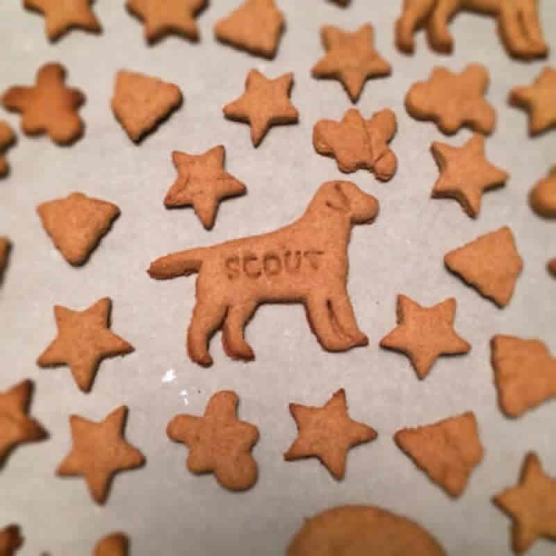 Homemade Dog Treats Peanut Butter Recipe by CookieRookie.