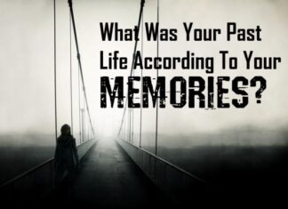 What Was Your Past Life According To Your Memories?
