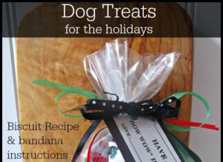 Dog Treat – Biscuits, a bandana & love