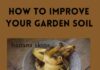 Improve Your Garden Soil - 3 Kitchen Ingredients
