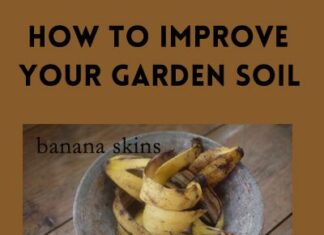 Improve Your Garden Soil - 3 Kitchen Ingredients