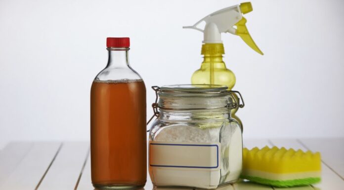 Homemade Flea Spray with Vinegar and Baking Soda