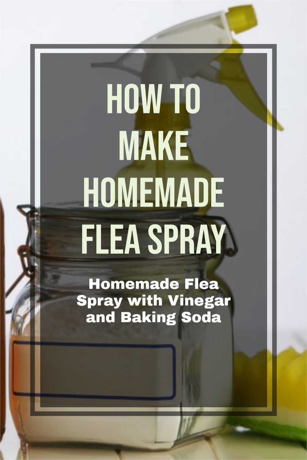 How to prepare Homemade Flea Spray with Vinegar and Baking Soda