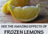 See Amazing Effects of Frozen Lemons
