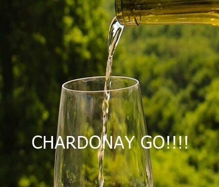 CHARDONAY GO IS THE NEW POKEMON GO!!!