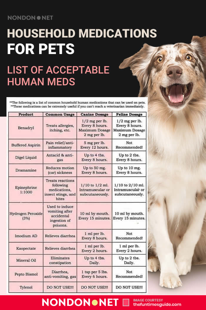 Household Medications for Pets Chart Acceptable Human Meds