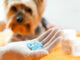 Household Medications for Pets Chart - Acceptable Human Meds