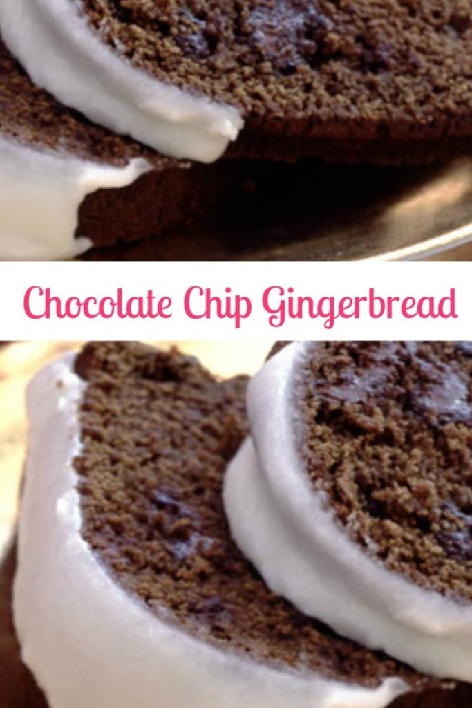 Chocolate Chip Gingerbread ~ NONDON