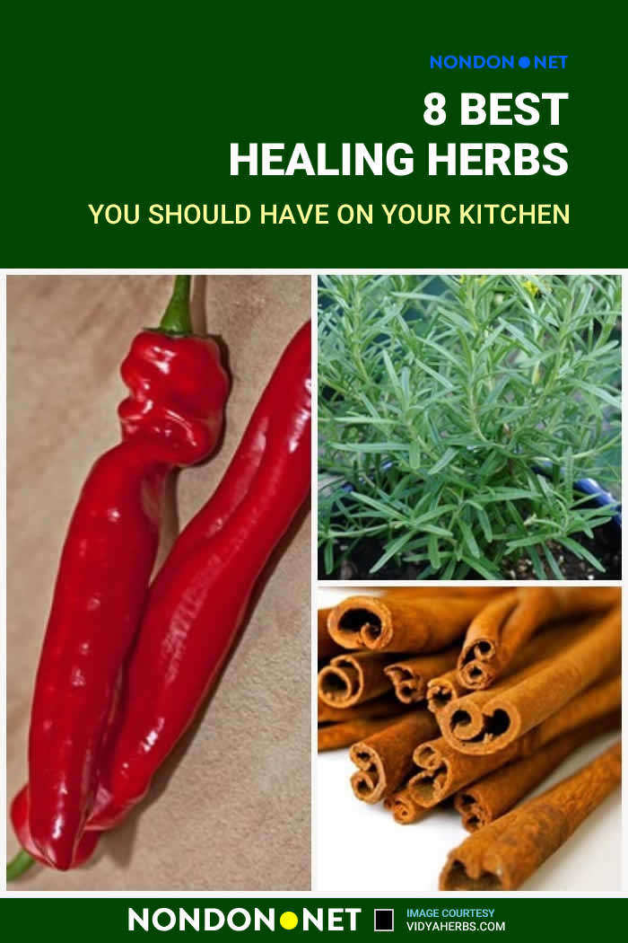 8 Best Healing Herbs you should have on your Kitchen #BestHealingHerbs #HealingHerbs #BestHerbs #Cinnamon #Basil #Sage #Cloves #CayennePepper #Rosemary #CarawaySeed #Turmeric