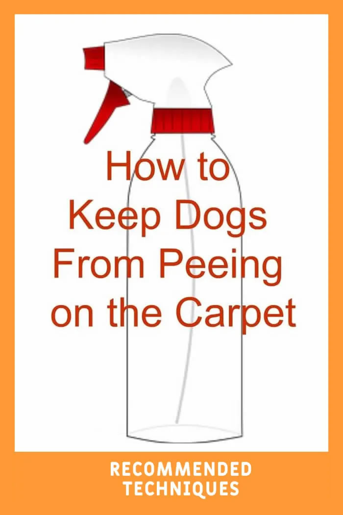 How to Keep Dogs from Peeing on Carpet Recommended Techniques