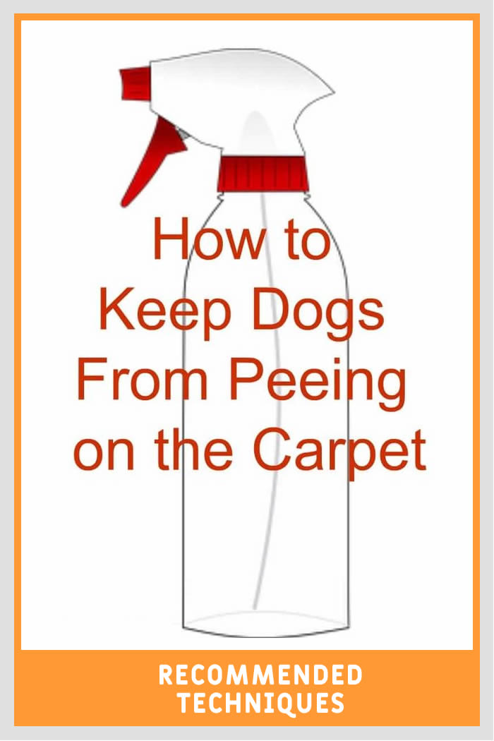 How to Keep Dogs from Peeing on Carpet Recommended Techniques