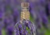 Lavender Oil for Relaxation Sleep and Mood