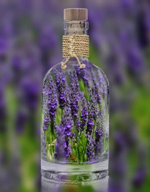 Lavender Oil for Relaxation Sleep and Mood