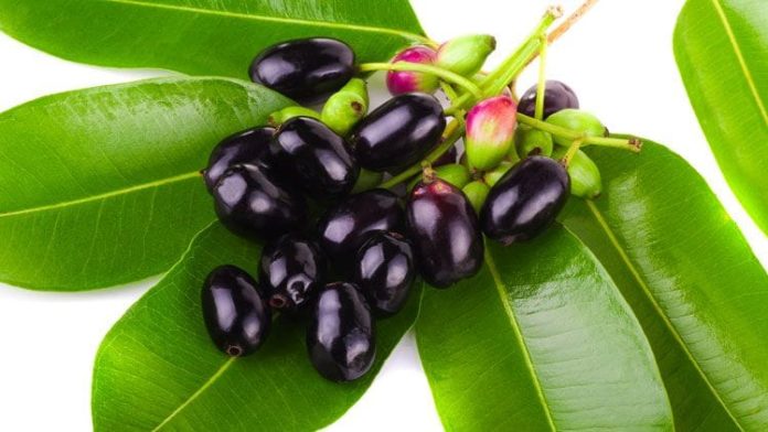 5-summer-fruits-in-bangladesh-you-cannot-afford-to-miss-nondon