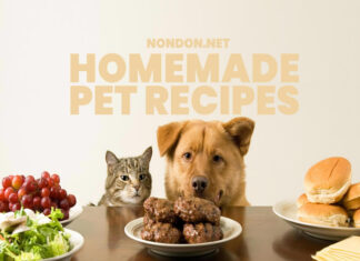5 Homemade Pet Recipes for your Dogs and Cats- Nondon.net