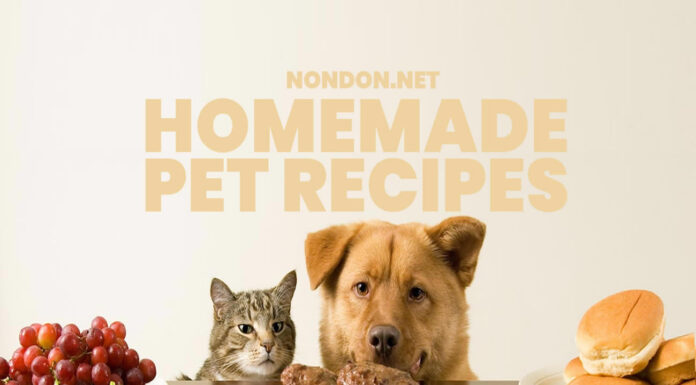 5 Homemade Pet Recipes for your Dogs and Cats- Nondon.net