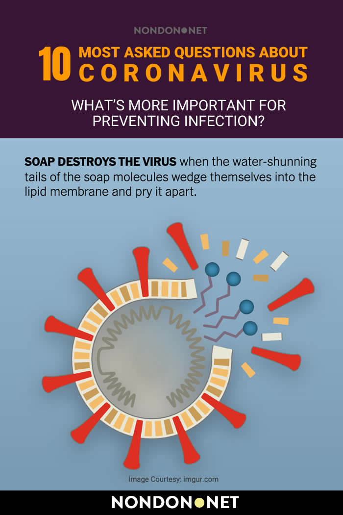 Do you Know the Answer- What's more important for preventing infection from COVID-19? #CoronaVirus #Corona #Virus #COVID19 #covid #CoViD19 #facemask #HandWash #WorldHealthOrganization #WHO #pneumonia #fever #drycough #fatigue #phlegm #headache #vaccine #CoronaVaccine #China #Milan #Seattle #influenza #flu #highbloodpressure #diabetes #asthma #cancer