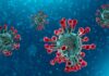 10 MOST ASKED QUESTIONS ABOUT CORONAVIRUS