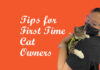 Tips for First Time Cat Owners