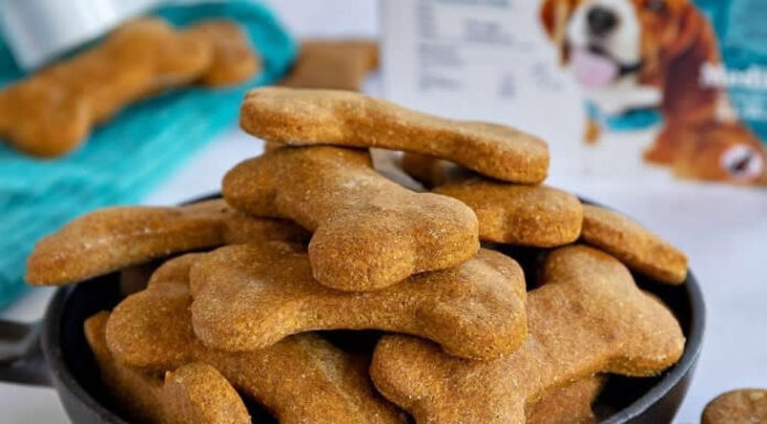 Homemade Dog Treats are made with peanut butter and pumpkin | Simple Dog Treat Recipes