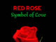The Reason and History of why Red Rose is Symbol of Love