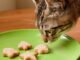 Healthy Homemade Cat Treats: 6 Tips to Safely Prepare